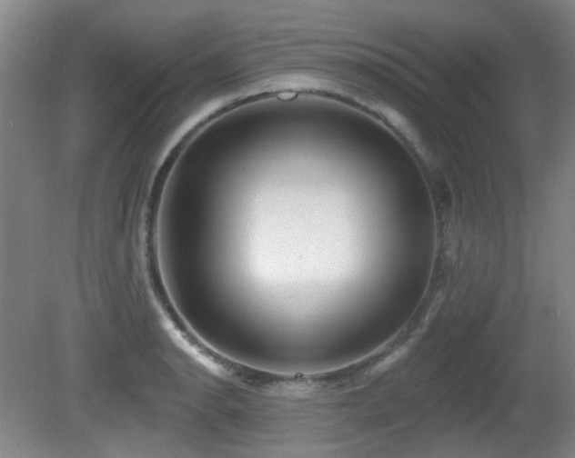 X0000081581134200701151236