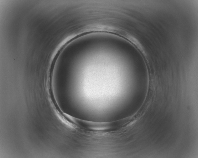 X0000081581136200701151236