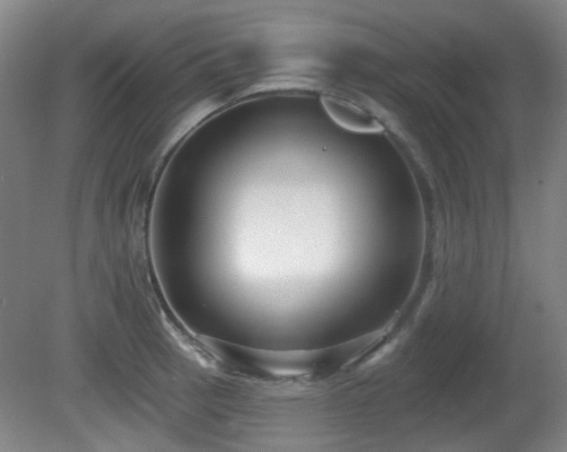 X0000081581137200701151236