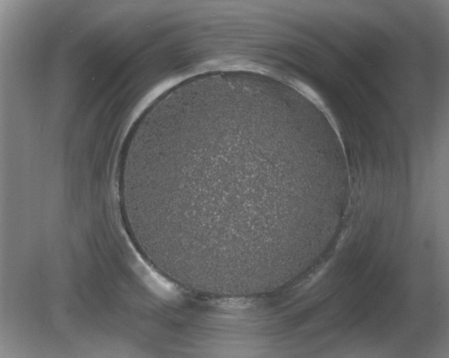 X0000081581141200701151236