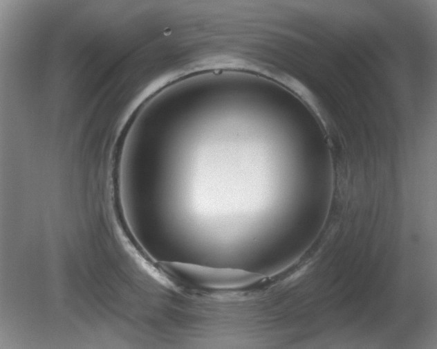 X0000081581142200701151236