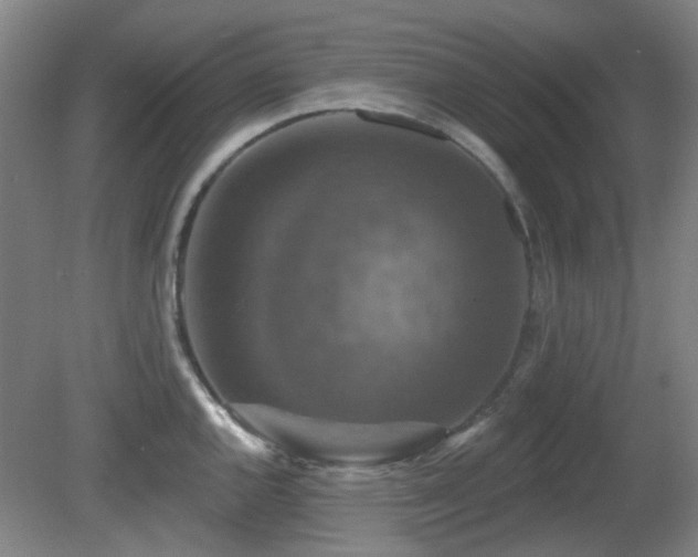 X0000081581144200701151236