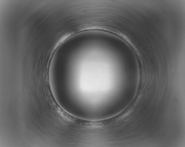 X0000081581145200701151236