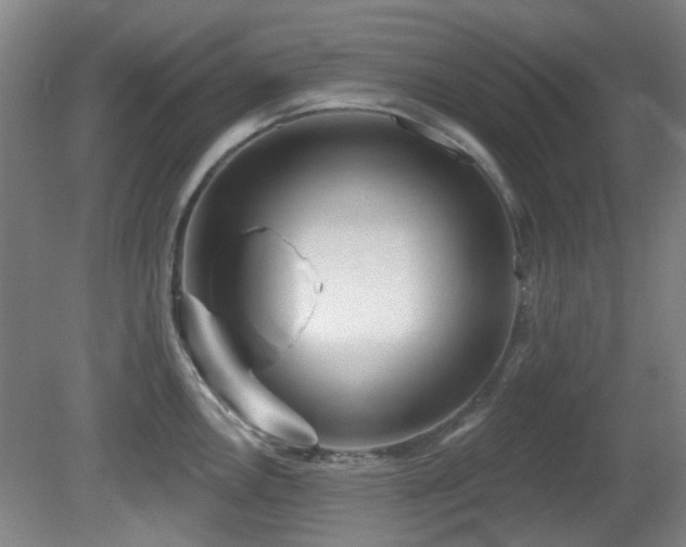 X0000081581146200701151236