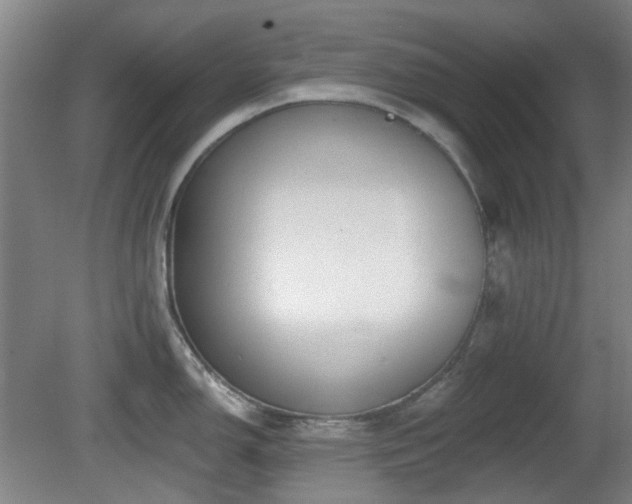 X0000081581150200701151236