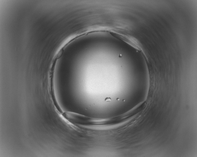 X0000081581151200701151236