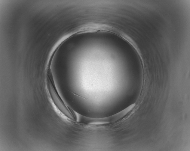 X0000081581152200701151236