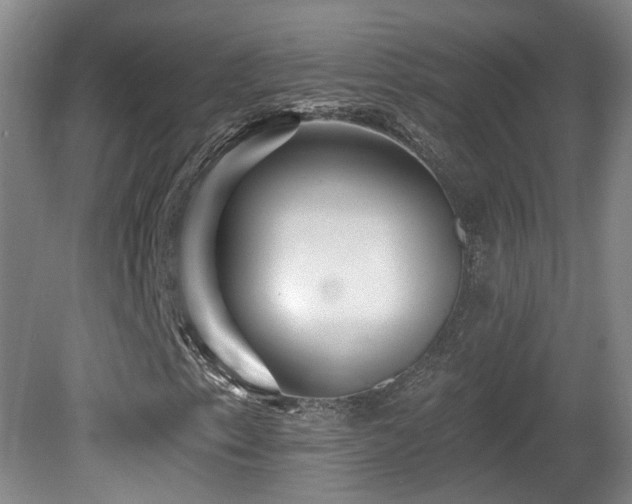 X0000081581153200701151235