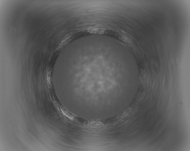 X0000081581154200701151235