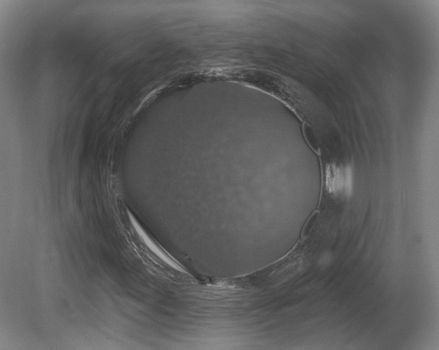 X0000081581155200701151235