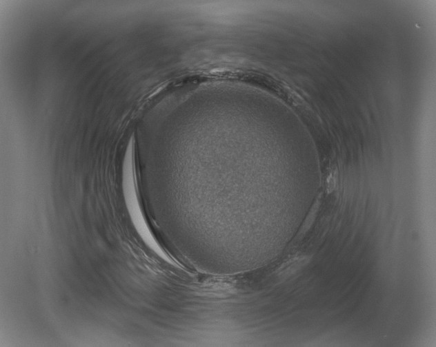 X0000081581156200701151235