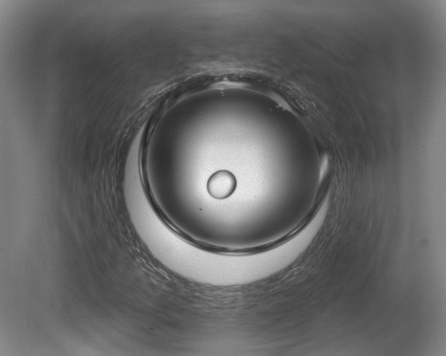 X0000081581157200701151235