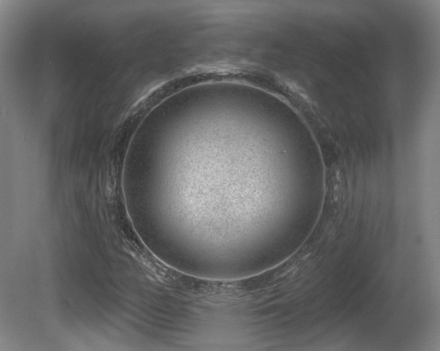 X0000081581158200701151235