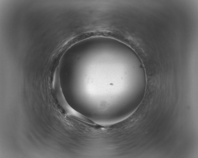 X0000081581159200701151235