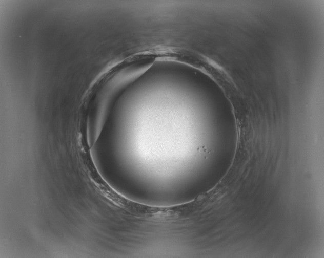 X0000081581160200701151235