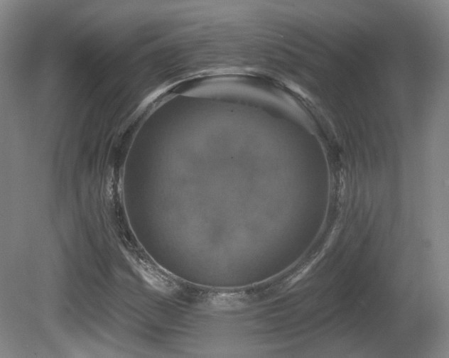 X0000081581161200701151235