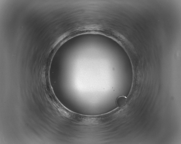 X0000081581162200701151235