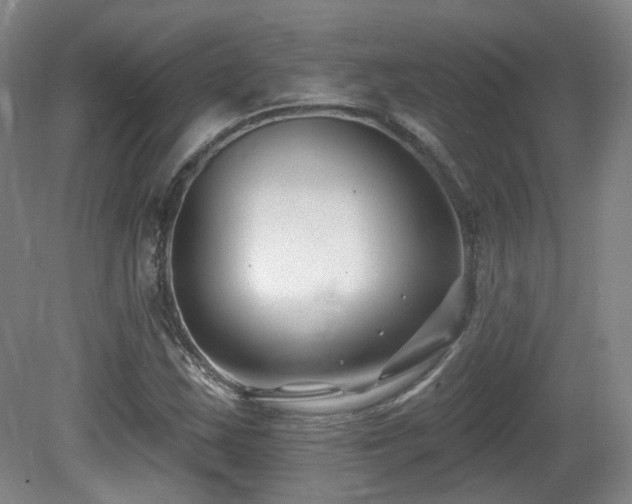 X0000081581163200701151235