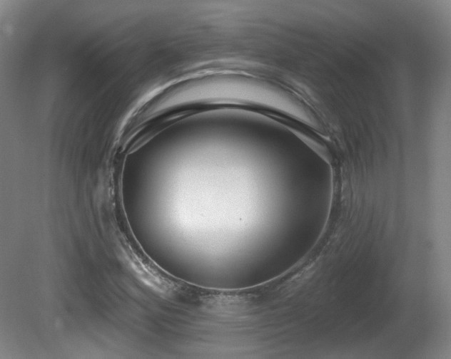 X0000081581164200701151235