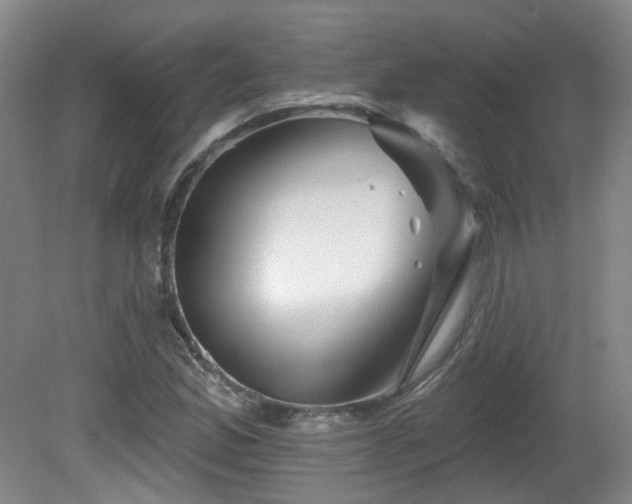 X0000081581165200701151235