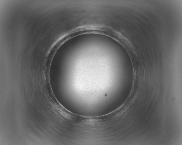 X0000081581166200701151235