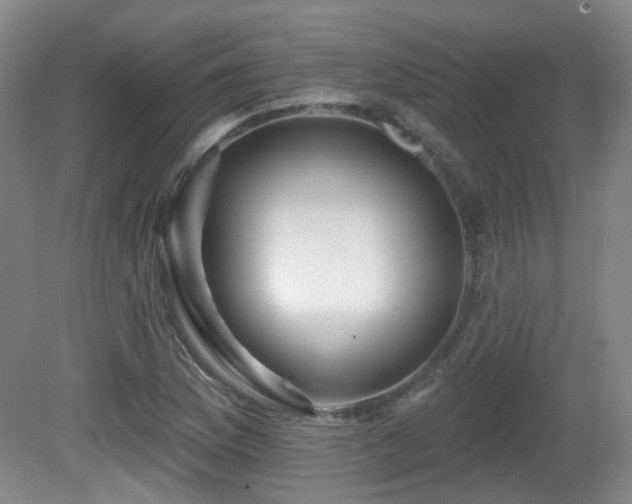 X0000081581169200701151235