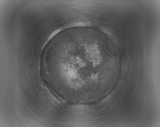 X0000081581170200701151235