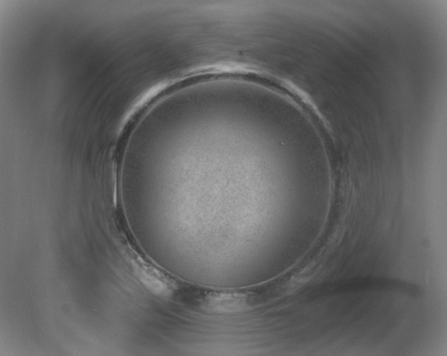 X0000081581171200701151235