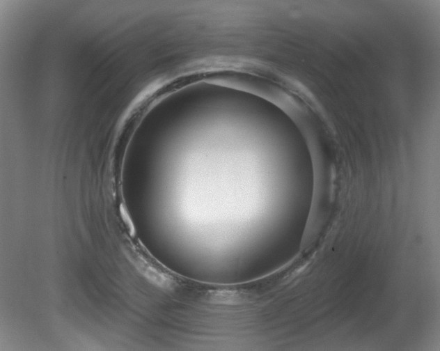 X0000081581172200701151235