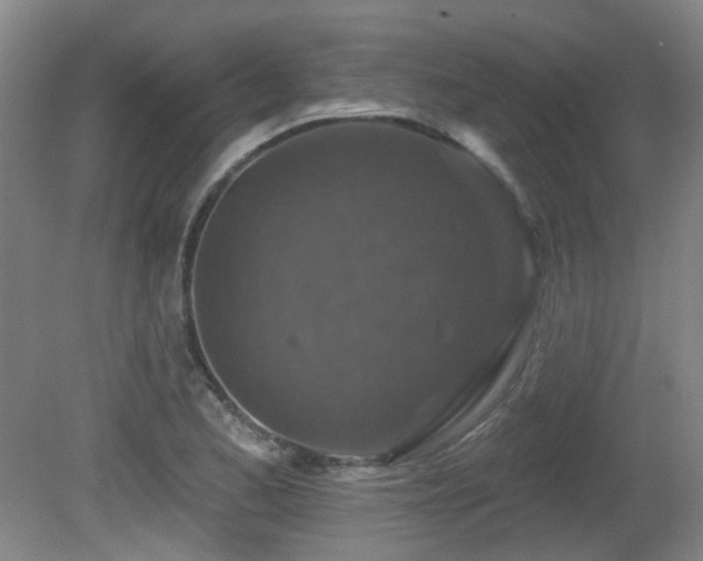 X0000081581173200701151235