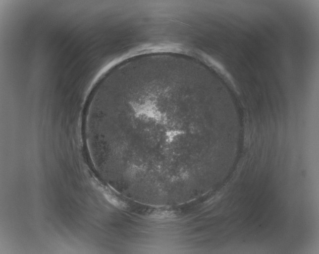 X0000081581174200701151235