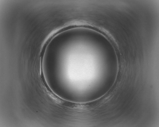 X0000081581175200701151235