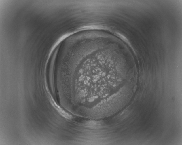 X0000081581179200701151235