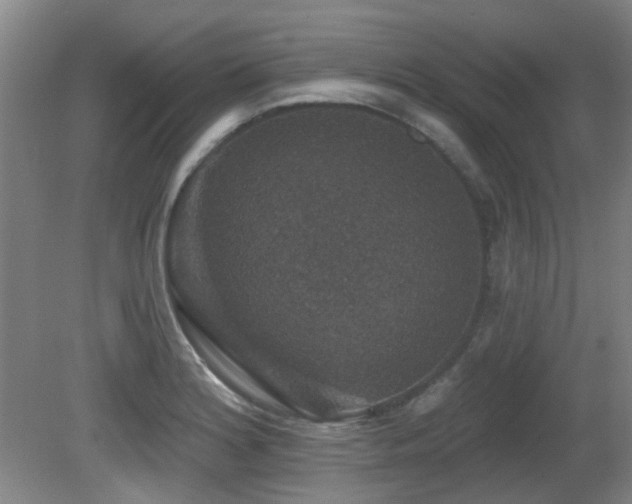 X0000081581180200701151235