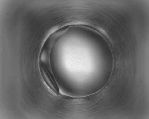 X0000081581181200701151235