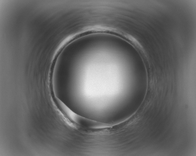 X0000081581183200701151235