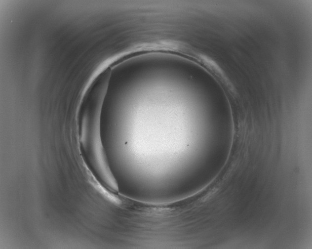 X0000081581184200701151235