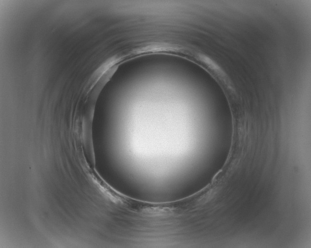 X0000081581185200701151235