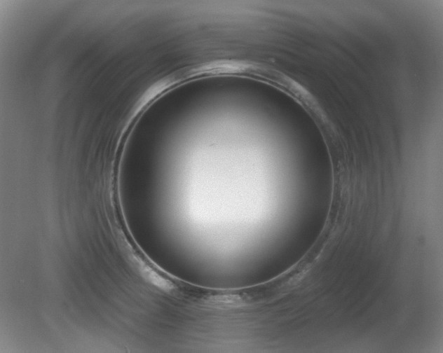 X0000081581186200701151235