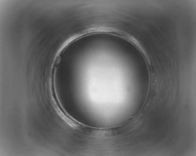 X0000081581187200701151235