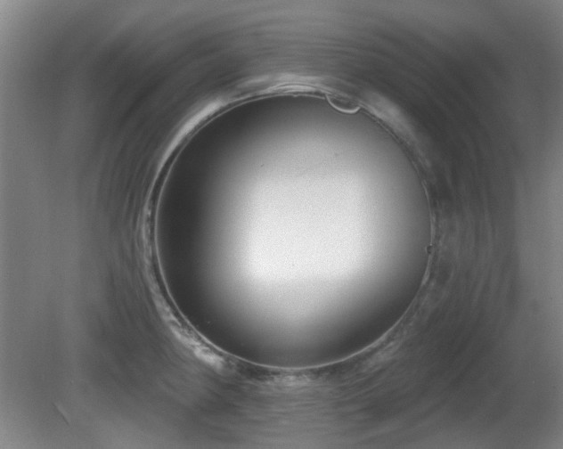 X0000081581190200701151235