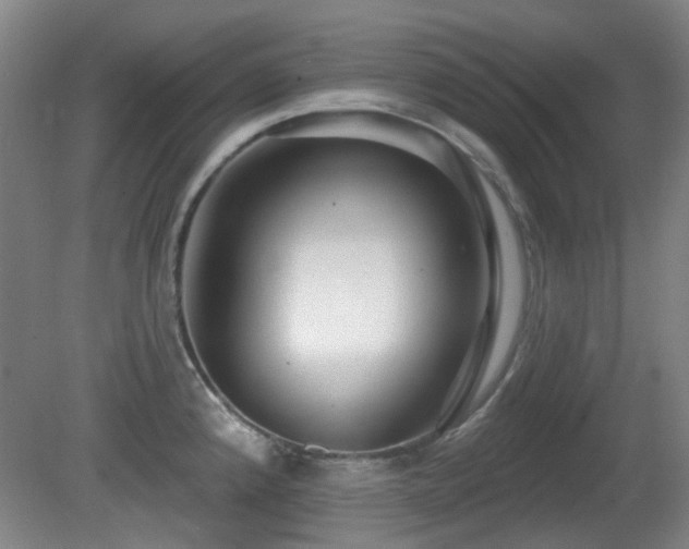 X0000081581192200701151235