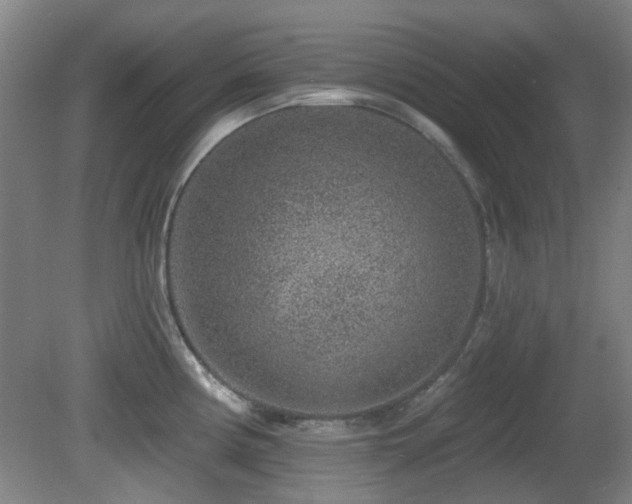 X0000081581194200701151235