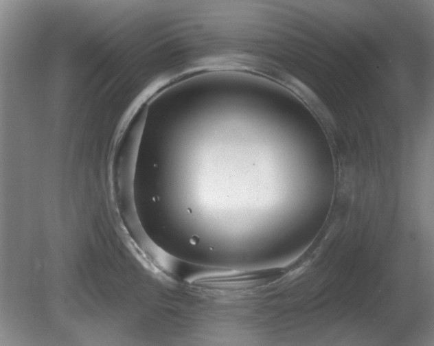 X0000081581196200701151235