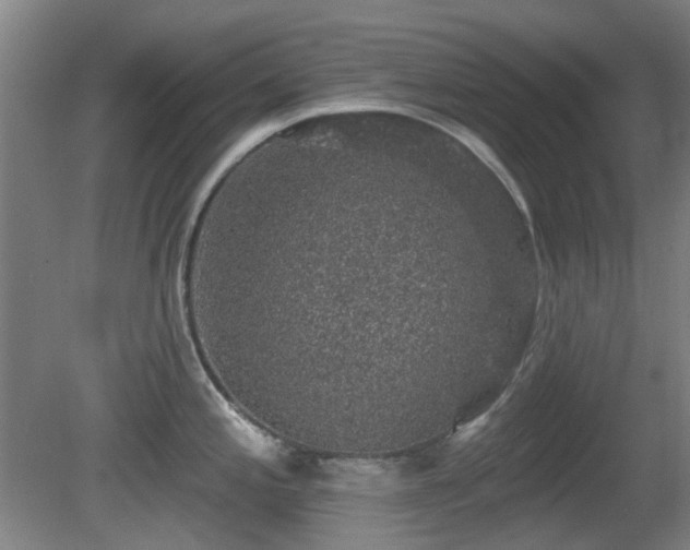 X0000081581197200701151235