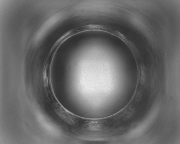 X0000081581198200701151235