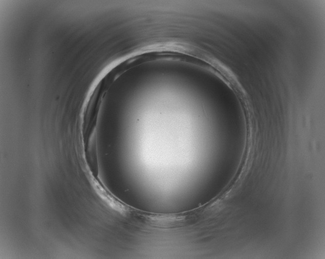 X0000081581200200701151235