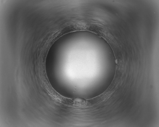 X0000081581201200701151234