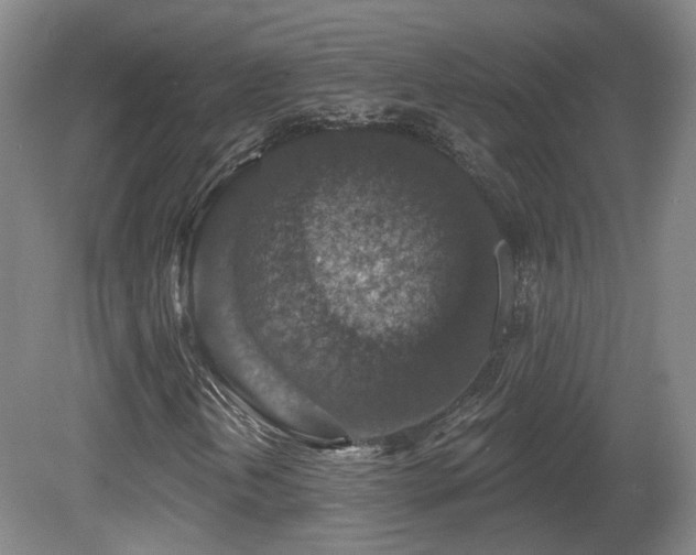 X0000081581202200701151234