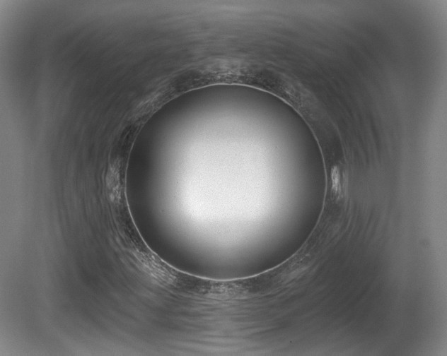 X0000081581203200701151234